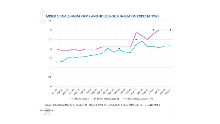 Mixed signals from firms and households inflation expectations