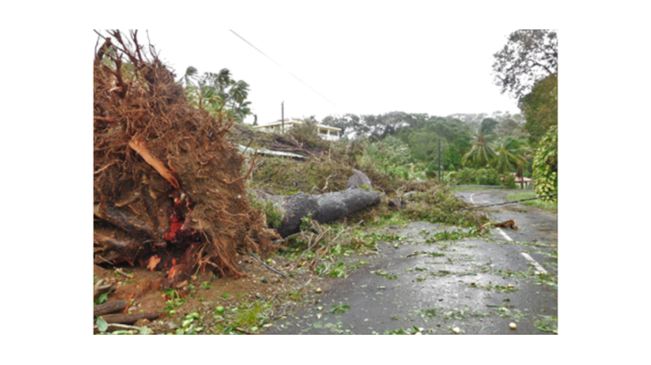 Photo 1 : Effets de l’ouragan Maria, Guadeloupe, 2017