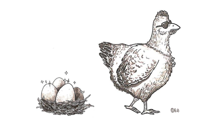 Poule et œufs 
