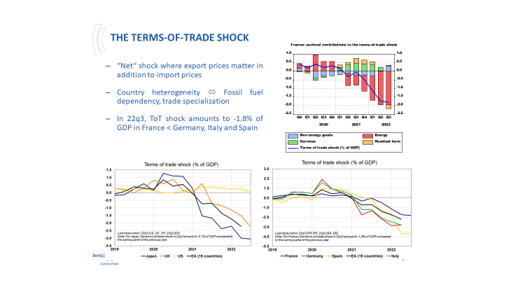 The terms-of-trade shock