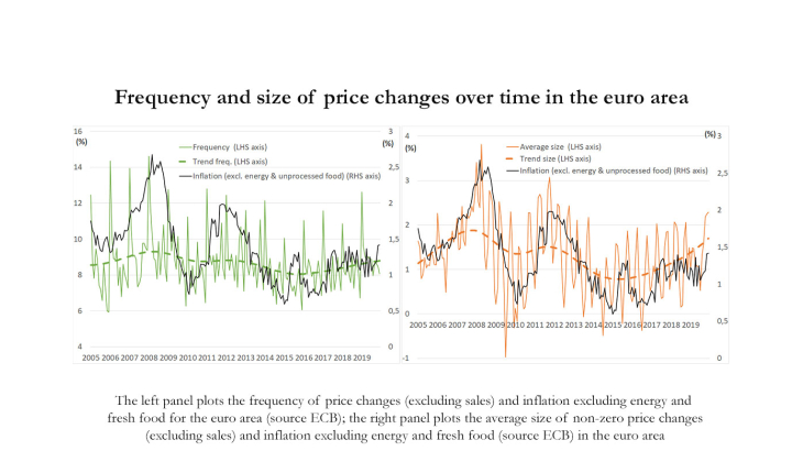 Frequency and size of prices changes over time in the euro area