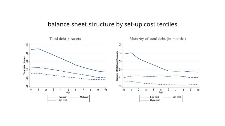 Balance sheet structure by set-up cost terciles