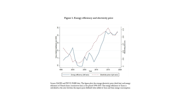 Figure 1 : Energy efficiency and electricity price