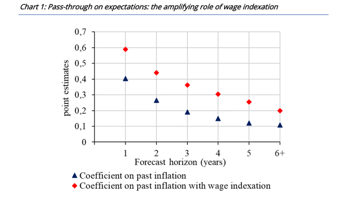 Pass-through on expectations: the amplifying role of wedge indexation
