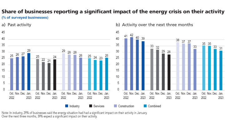 Share of businesses reporting a significant impact of the energy crisis on their activity