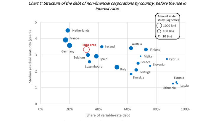 Chart 1: Structure of the debt of non-financial corporations by country, before the rise in interest rates