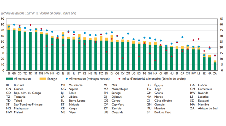 Décomposition du panier de consommation et indice d’insécurité alimentaire par pays