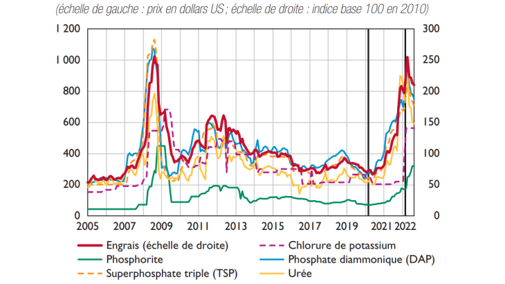 Prix mondiaux des biens alimentaires et des engrais b) Engrais