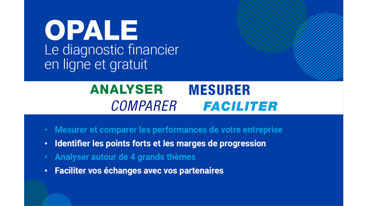 L’outil d'analyse financière en ligne Opale vous permet d’obtenir une analyse de la situation financière de votre entreprise et un comparatif de sa situation avec celle de son secteur d’activité.