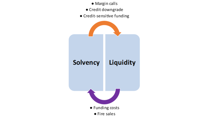 Interactions between bank solvency and liquidity