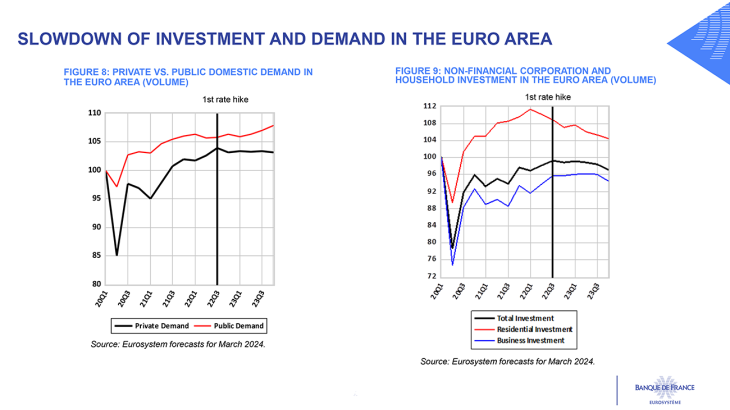 SLOWDOWN OF INVESTMENT AND DEMAND IN THE EURO AREA