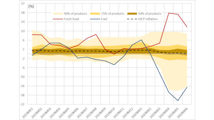 Distribution of price changes (in % over 12 months) by product in France