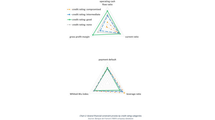 Chart 2: Several financial constraint proxies by credit rating categories.