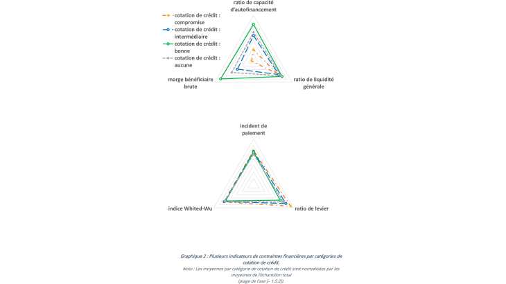 Graphique 2 : Plusieurs indicateurs de contraintes financières par catégories de cotation de crédit.