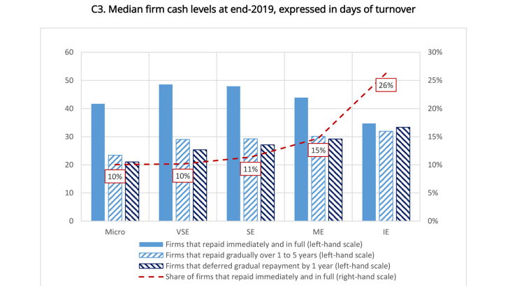 C3. Median firm cash levels at end-2019, expressed in days of turnover