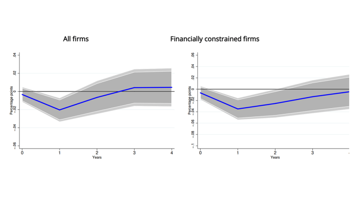 Chart 1. Investment drops more for constrained firms as interest rate uncertainty rises