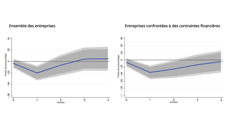 Graphique 1. L’investissement baisse davantage pour les entreprises confrontées à des contraintes quand l’incertitude sur les taux d’intérêt augmente
