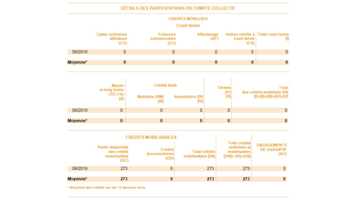 DE - Détail des participations en compte collectif