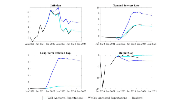 expectations for inflation, interest rate, long-terme inflation and output gap
