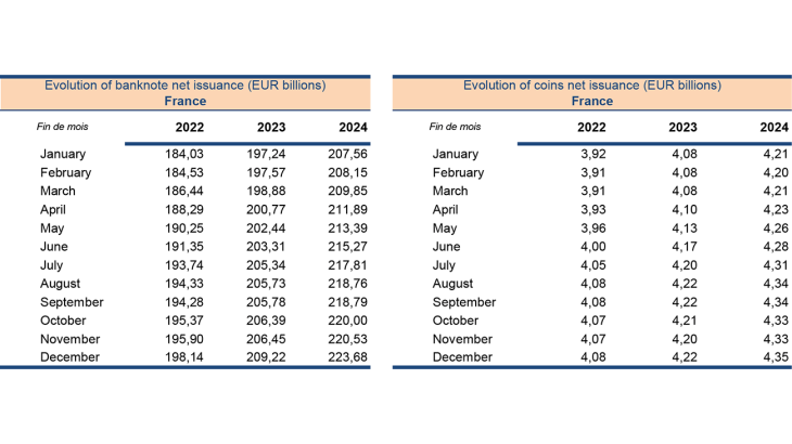 Evolution of banknote net issuance (EUR billions) France