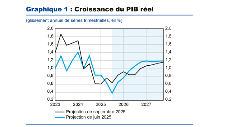 Graphique 1 : Croissance du PIB réel