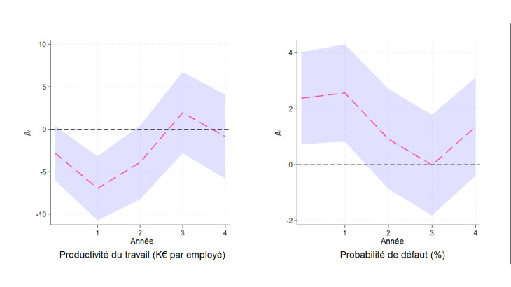 Probabilité du travail et probabilité de défaut sur 4 ans
