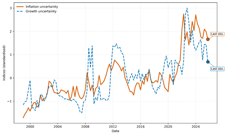 Uncertainties about inflation and growth over a one-year horizon in the euro area  between 1999 and 2025