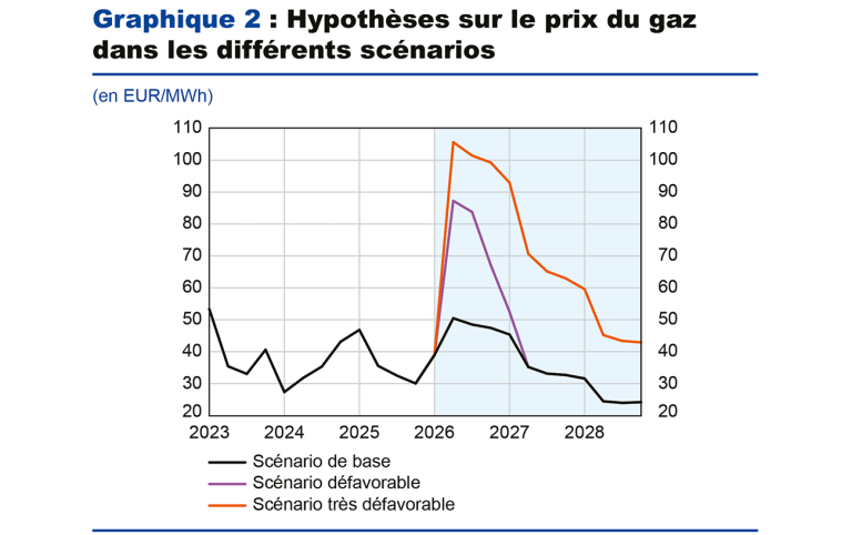 Graphiquie 2 : Hypothèses sur le prix du gaz dans les différents scénarios