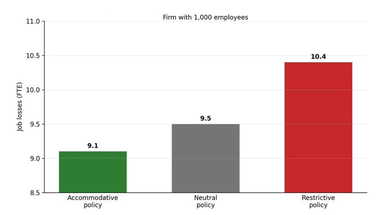Firm Level Heterogeneity and the Impact of Monetary Policy on Labour Demand