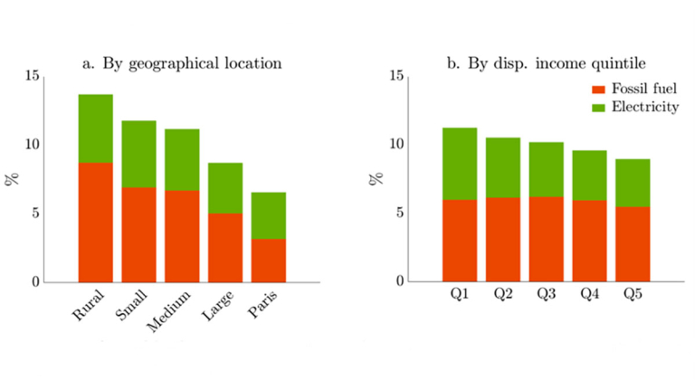 Energy share in total consumption (regression-adjusted) by geographical location  and by disponible income