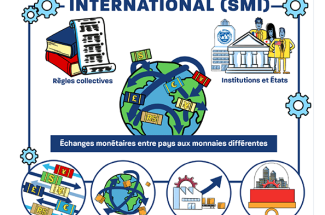 Le système monétaire international