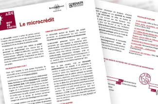 Microcredit