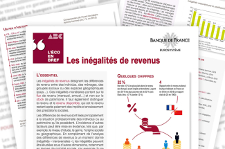 Inegalites_Revenus