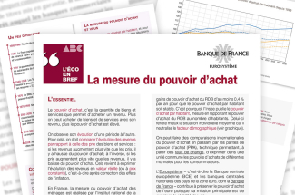 Mesure_Pouvoir_Achat