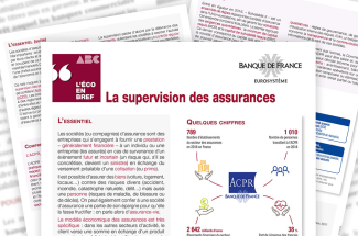 Supervision_Assurances