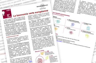Taxomanie_Verte_