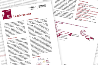 Microcredit