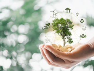 Main tenant un arbre vert entouré de symboles économiques