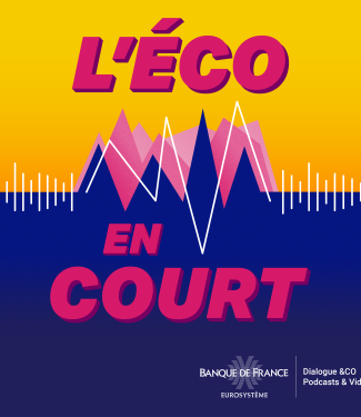 Image Eco en court