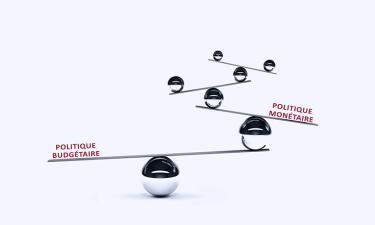 Interdépendances entre la politique monétaire et la politique budgétaire (« policy mix »)
