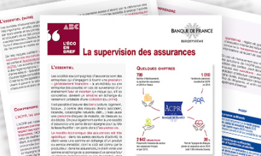 Supervision_Assurances