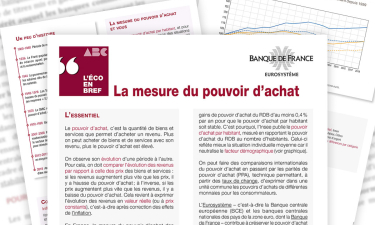 Mesure_Pouvoir_Achat