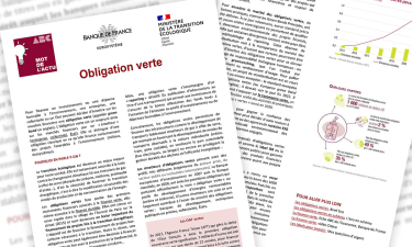 Obligation_Verte