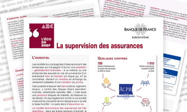 Supervision_Assurances